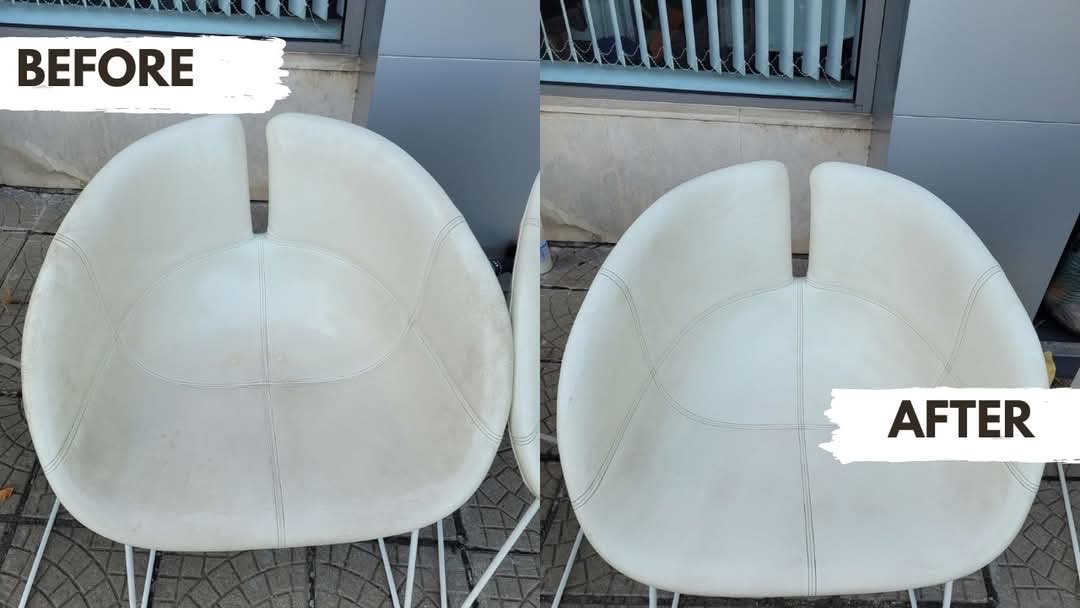 Upholstery Cleaning Project 1