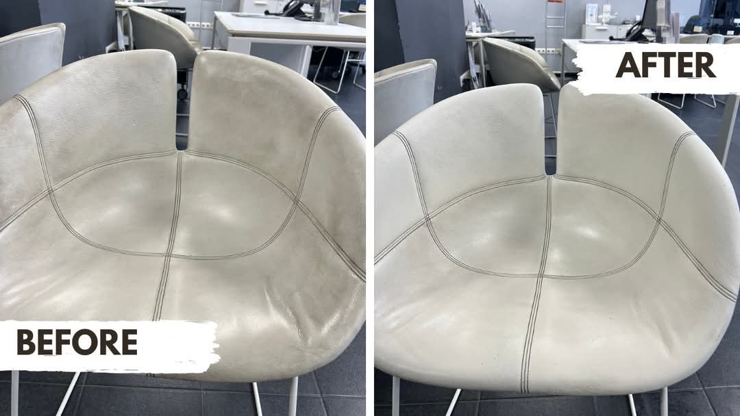Upholstery Cleaning Project 2
